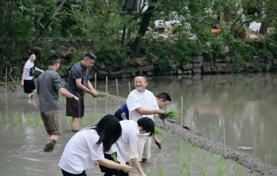 紫金新评：阿里高管下田插秧，AI时代需要“熬”下去的“定力”_华夏商业网_华夏商业网_华夏财经_华夏资讯
